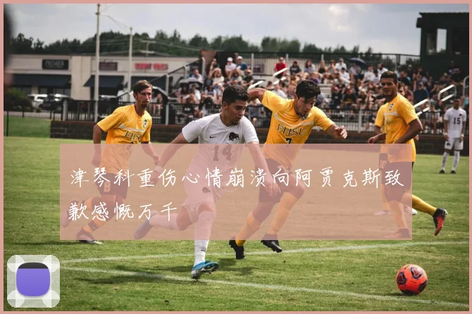 津琴科重伤心情崩溃向阿贾克斯致歉感慨万千