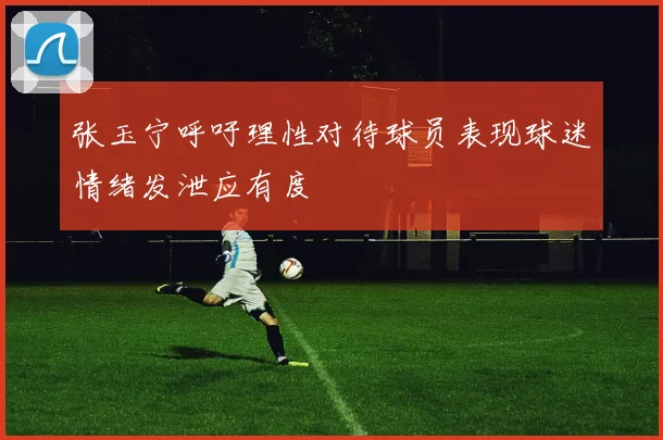 张玉宁呼吁理性对待球员表现球迷情绪发泄应有度