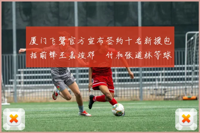 厦门飞鹭官方宣布签约十名新援包括前锋王嘉竣邓棽竹和张道林等球员